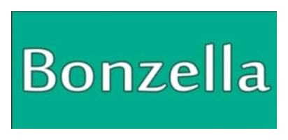 Bonzella — Amazon seller running AIAdKing