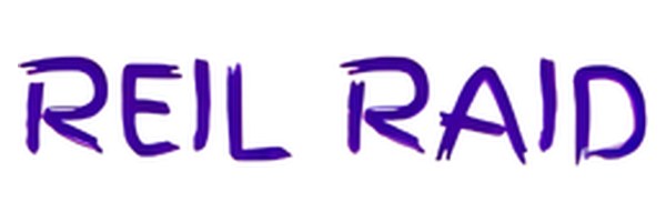 Reil Raid — Amazon seller running AIAdKing